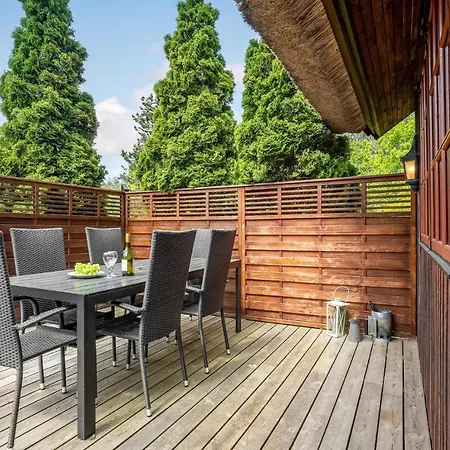 Pet Friendly In With Kitchen