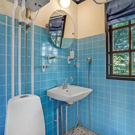Pet Friendly In With Kitchen *